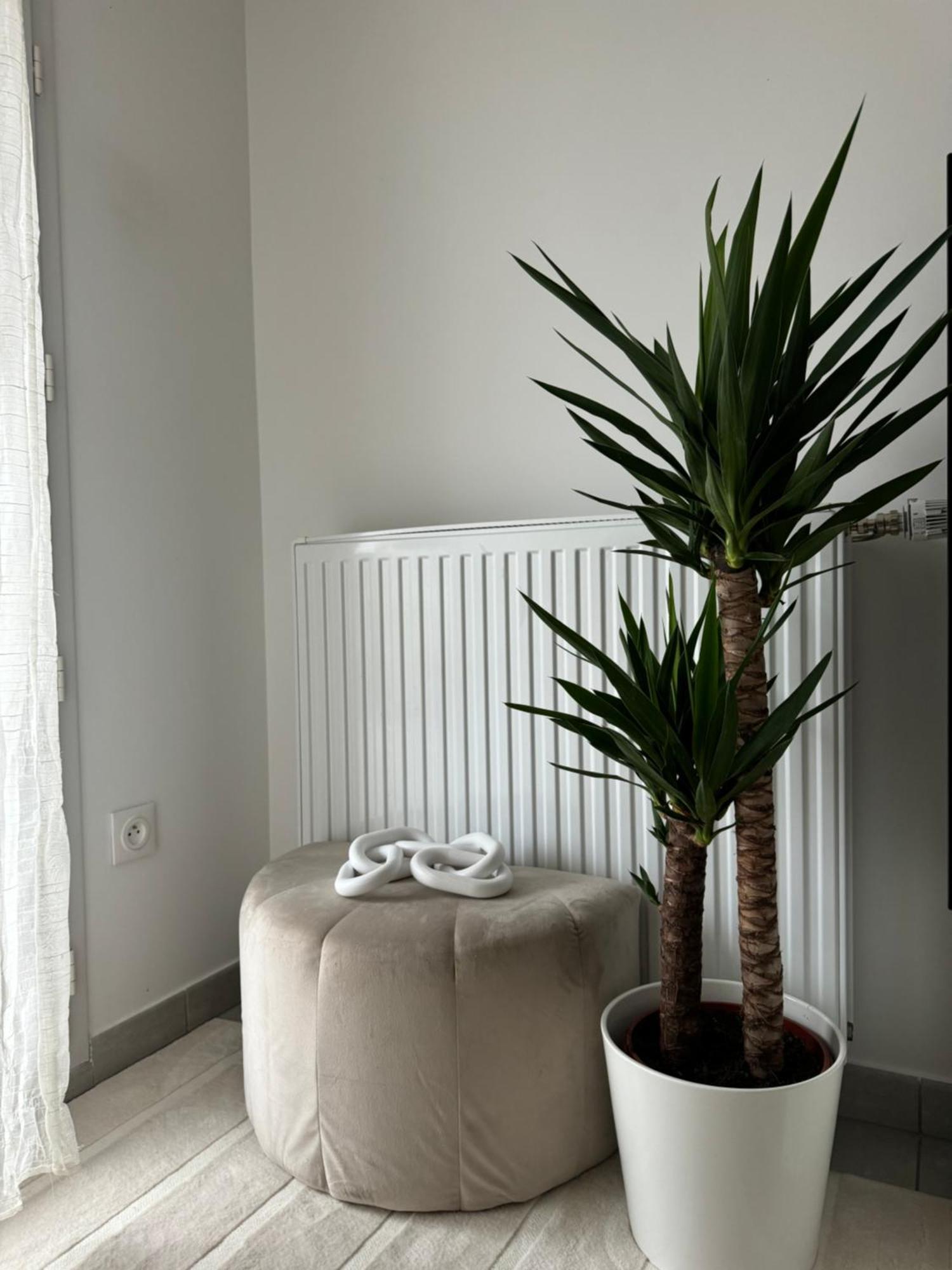 Superbe Appartement - Near Paris Корбей-Эссон Экстерьер фото